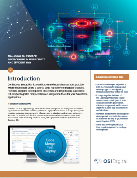 White Paper: Managing Salesforce Development in a more Direct and Efficient Way